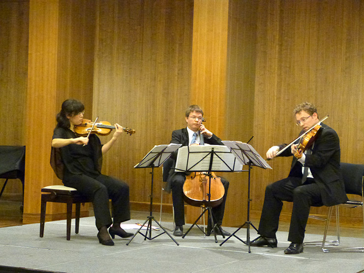Akemi Mercer-Niewöhner (Violine), Dirk Niewöhner (Viola) und Ulrich Horn (Violoncello)